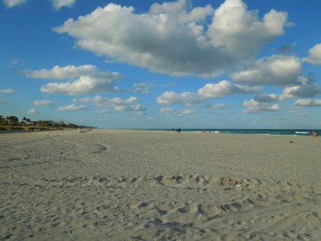 beach restoration delray